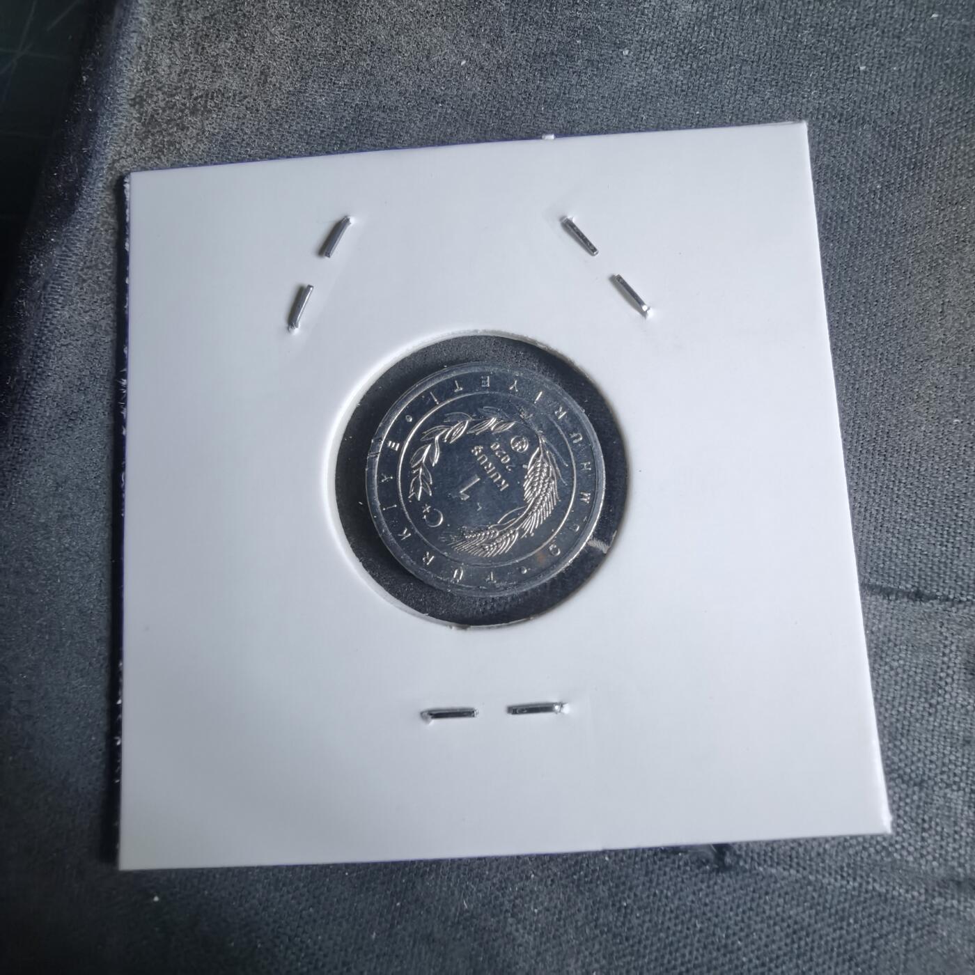 沼泽如烟--第924场