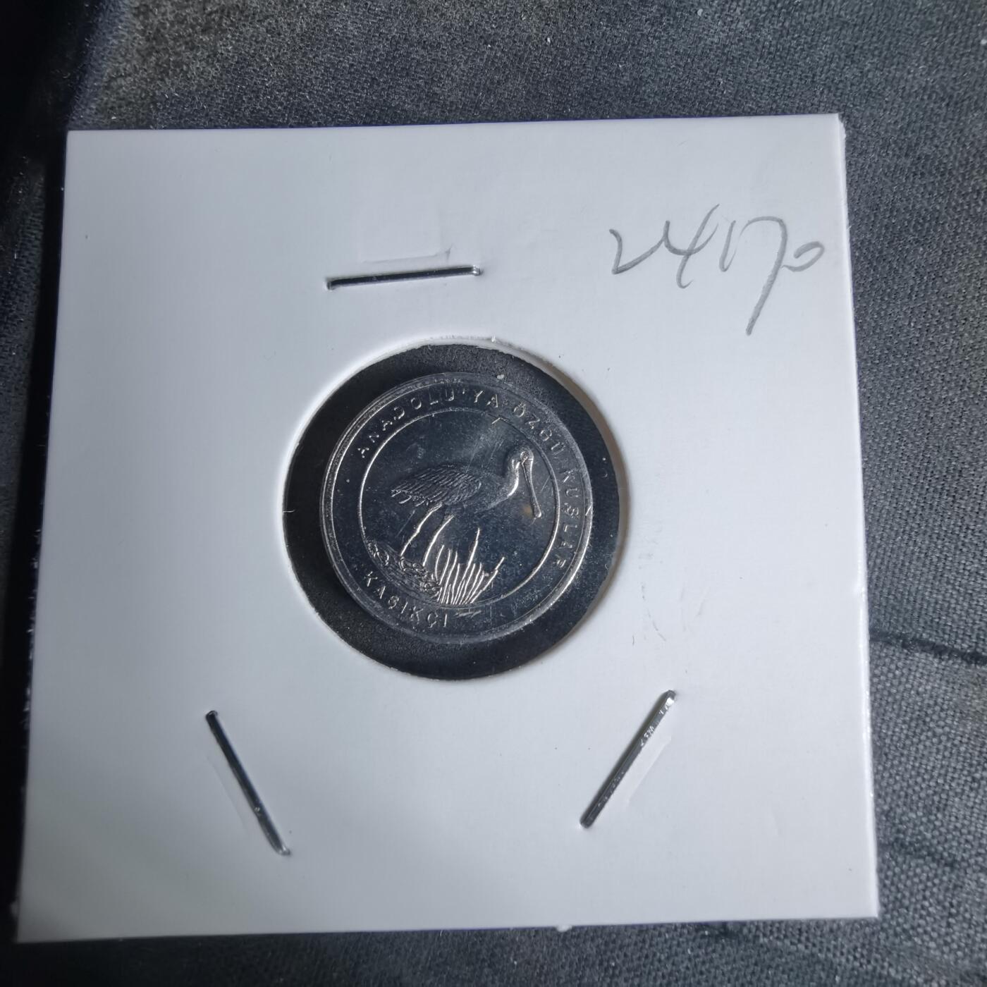 沼泽如烟--第924场