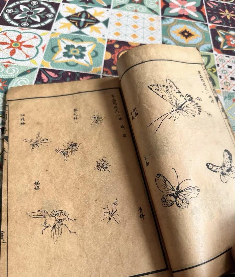 民国芥子园草虫花卉谱一册（无托实拍）