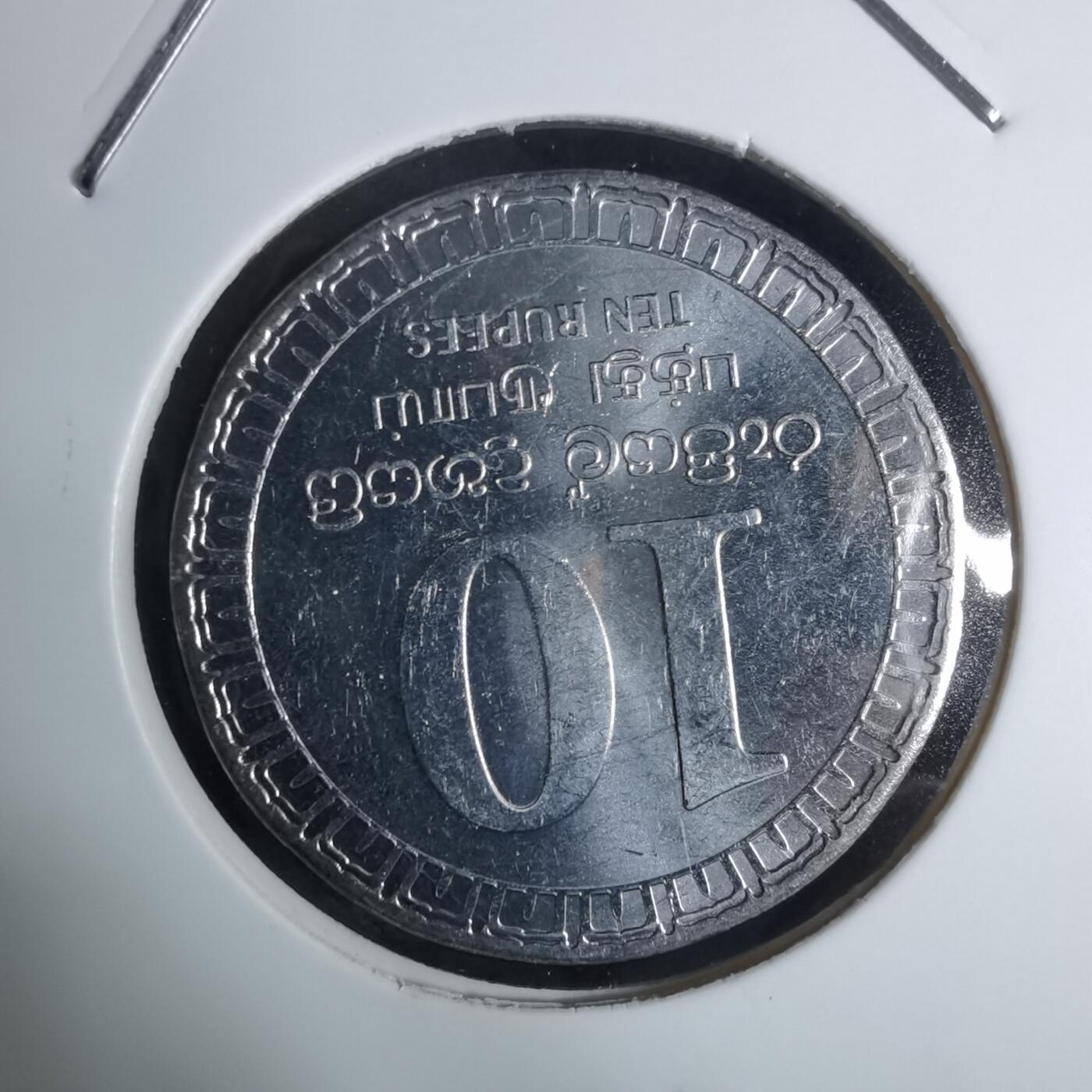 沼泽如烟--第924场