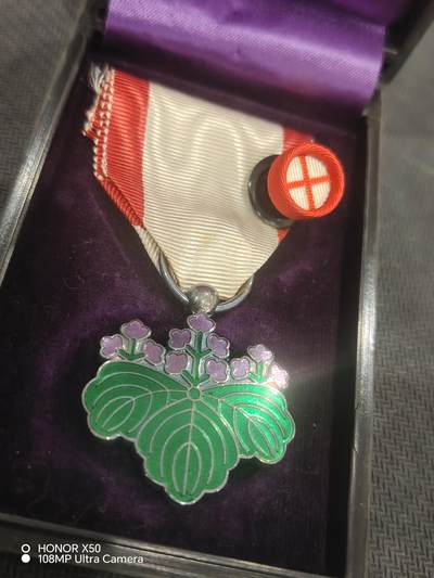 城南花开💐83场 - 青叶子带盒略