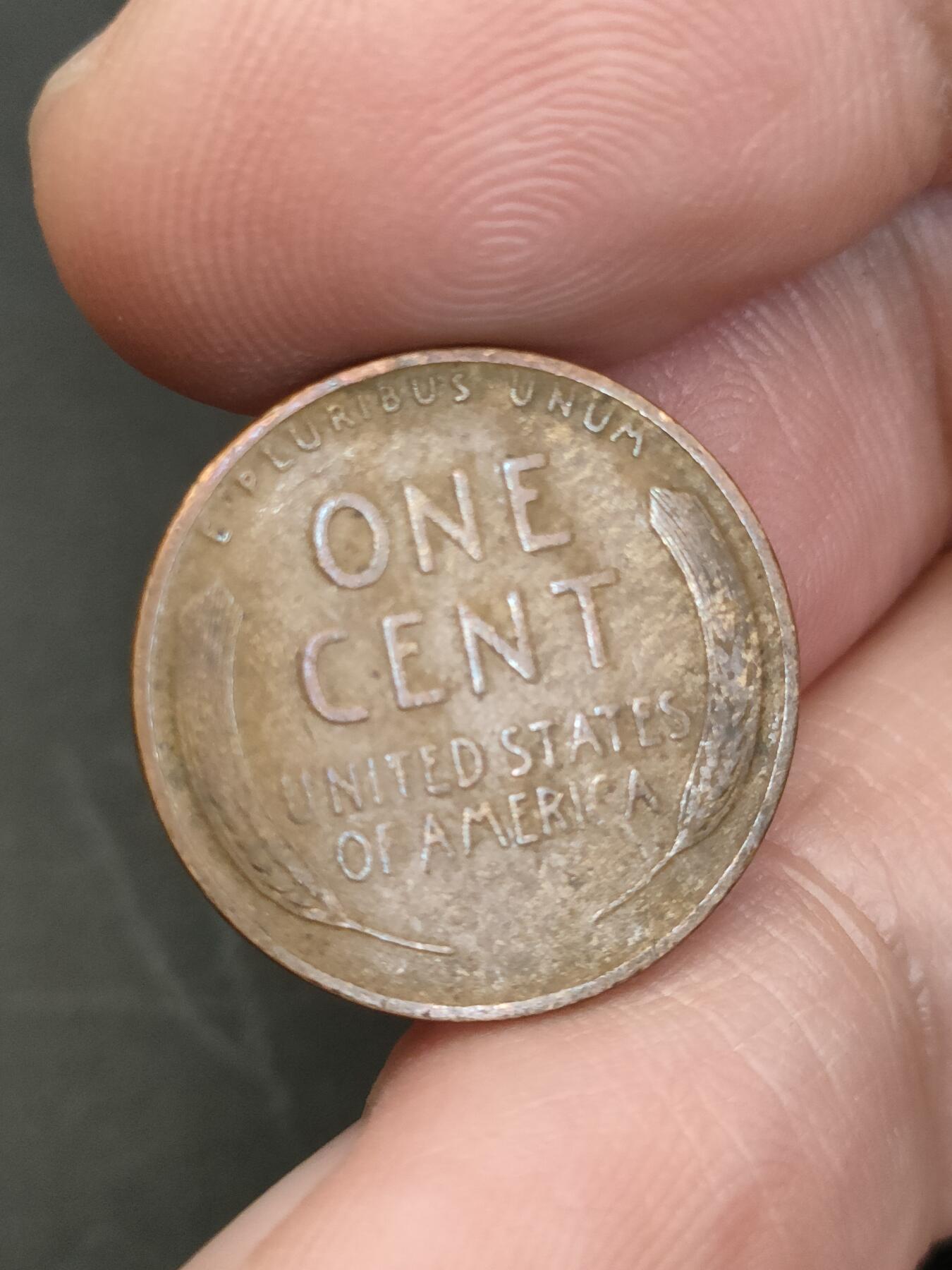 猩哥外币小铺➨【第206场】 美国