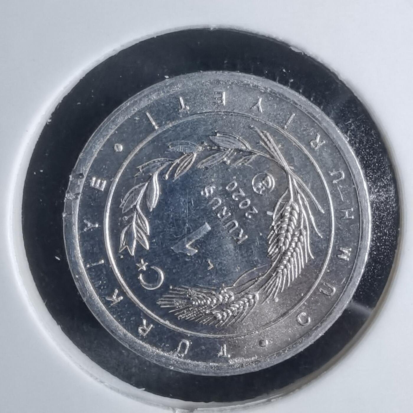 沼泽如烟--第924场