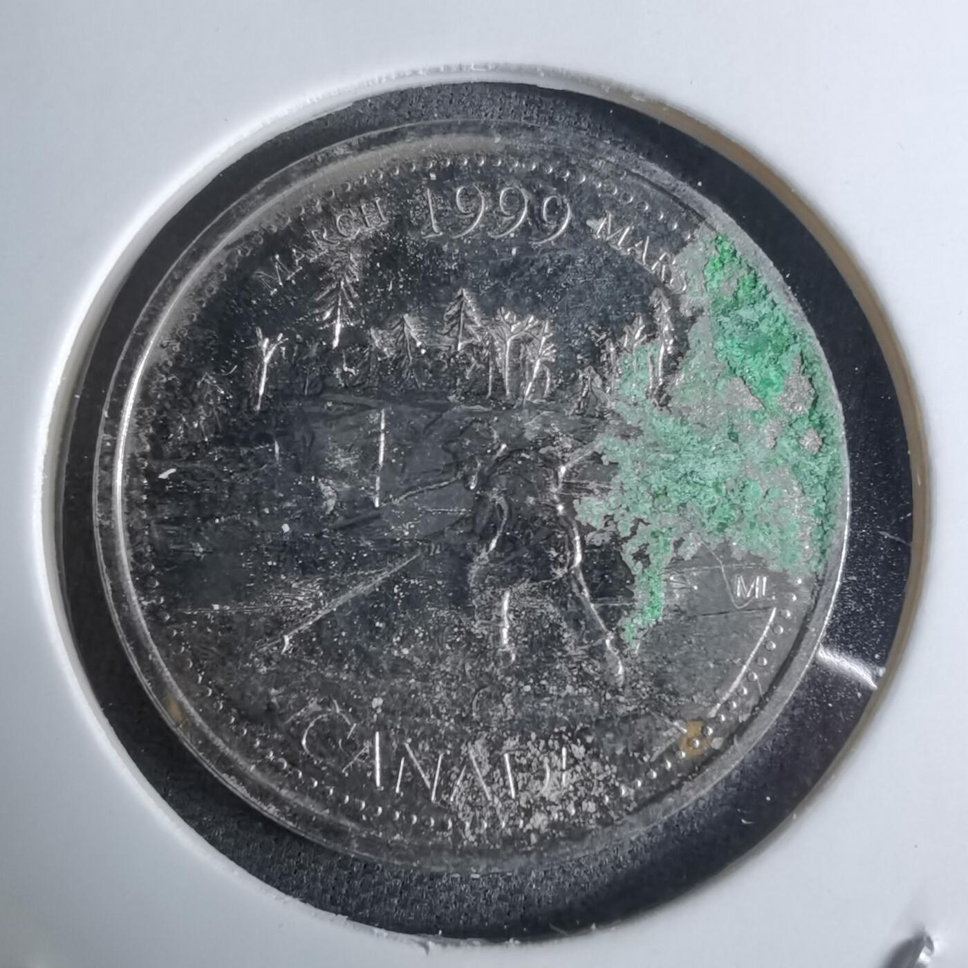 沼泽如烟--第924场