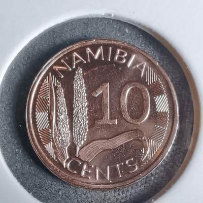 沼泽如烟--第924场 - 纳米比亚2025年10分