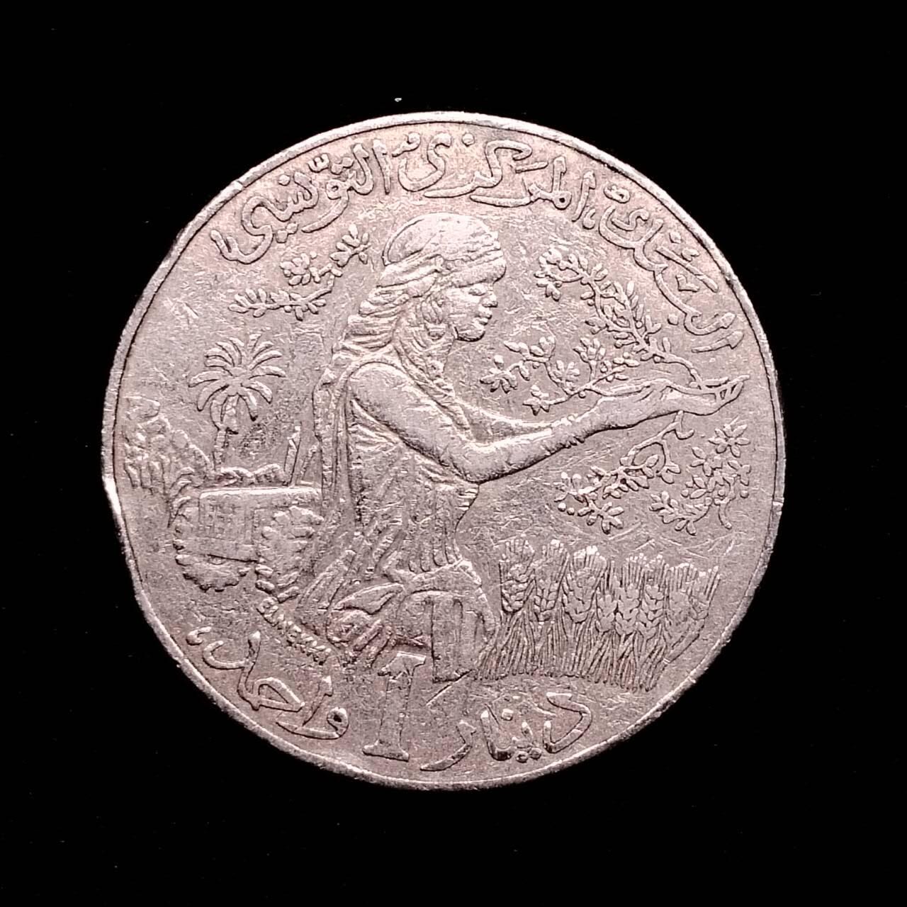 新到突尼斯1第纳尔3个版7000个，标价为单价