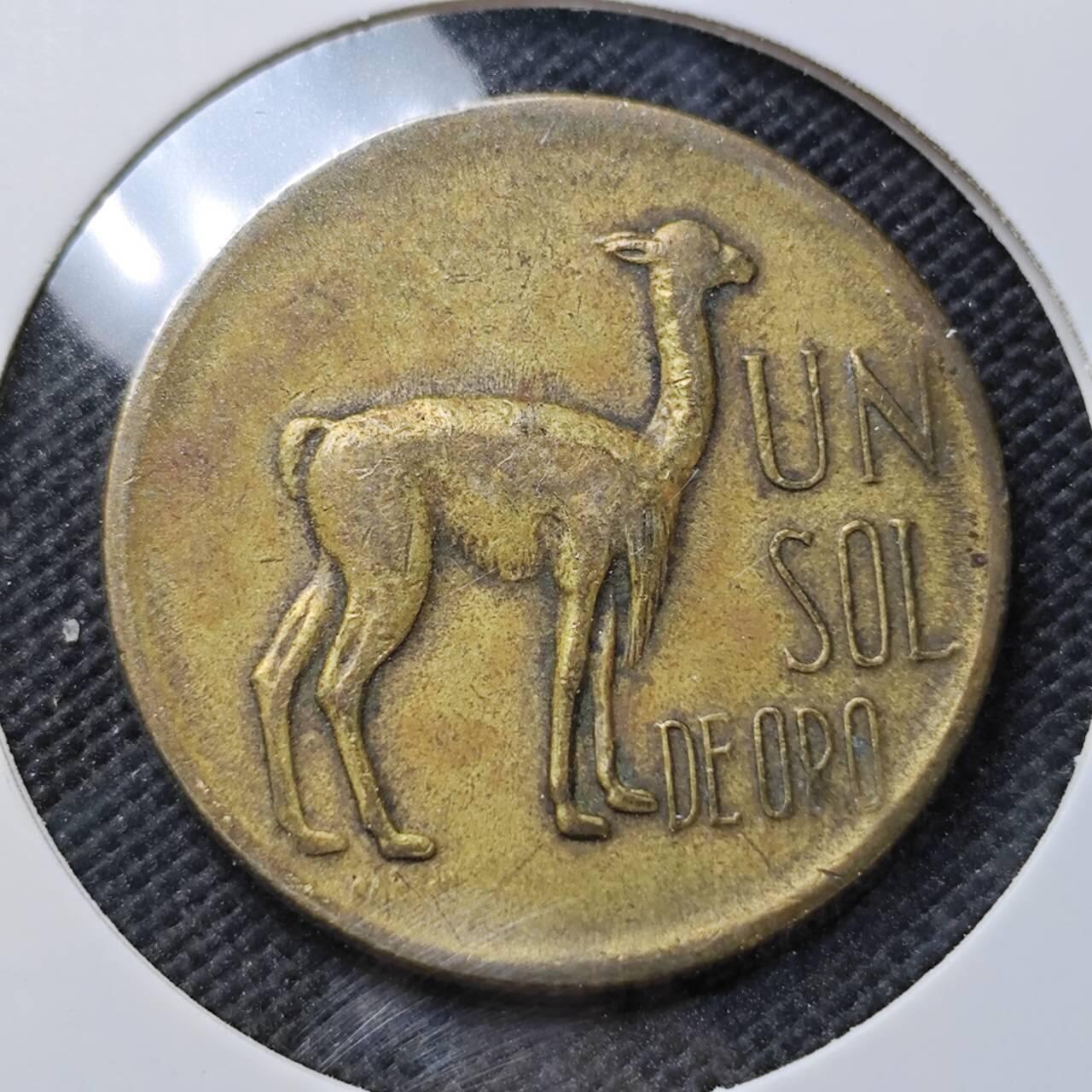 KK钱币收藏小铺 第375期  2月预留时间 周末发货