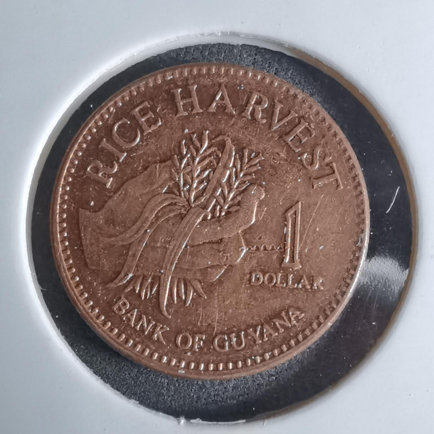 沼泽如烟--第924场