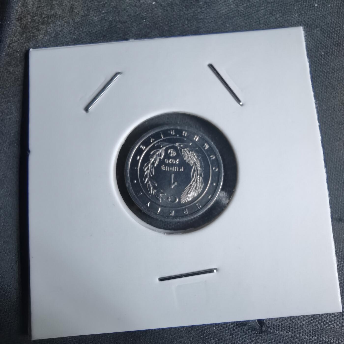 沼泽如烟--第924场