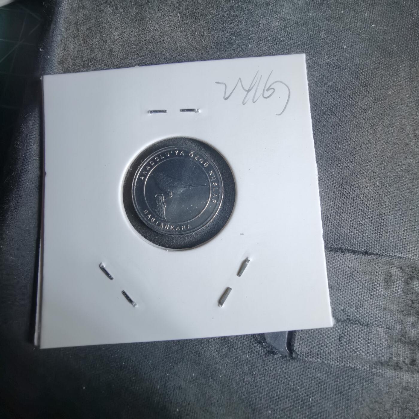 沼泽如烟--第924场