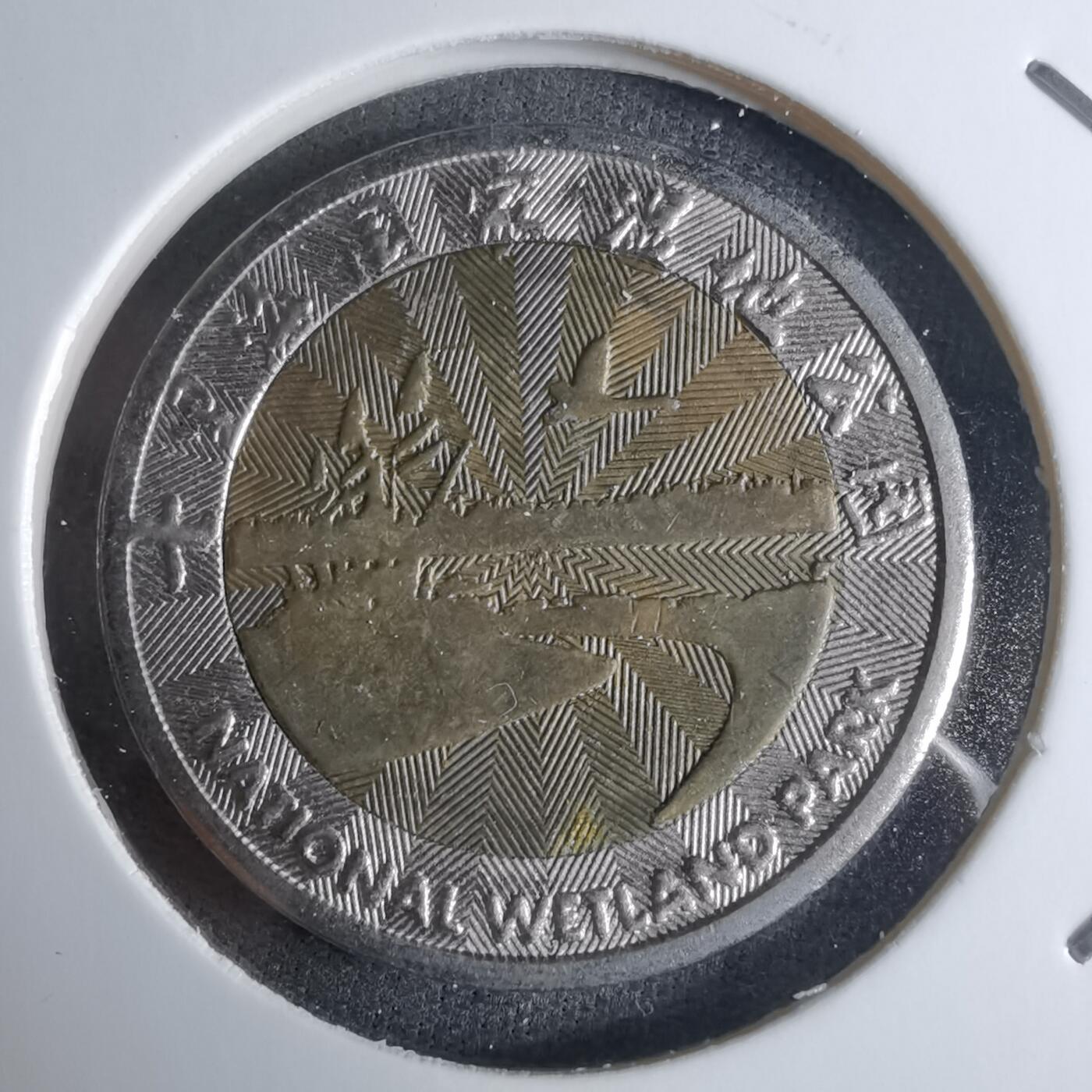 沼泽如烟--第924场