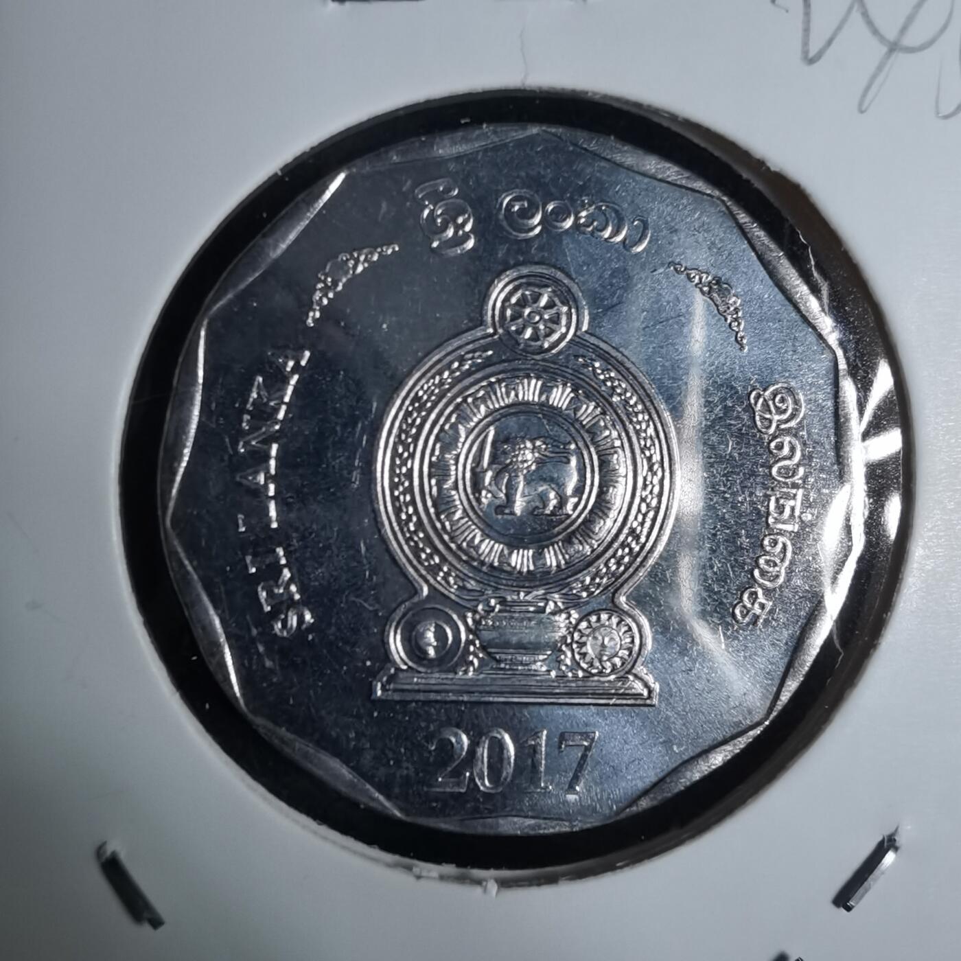 沼泽如烟--第924场