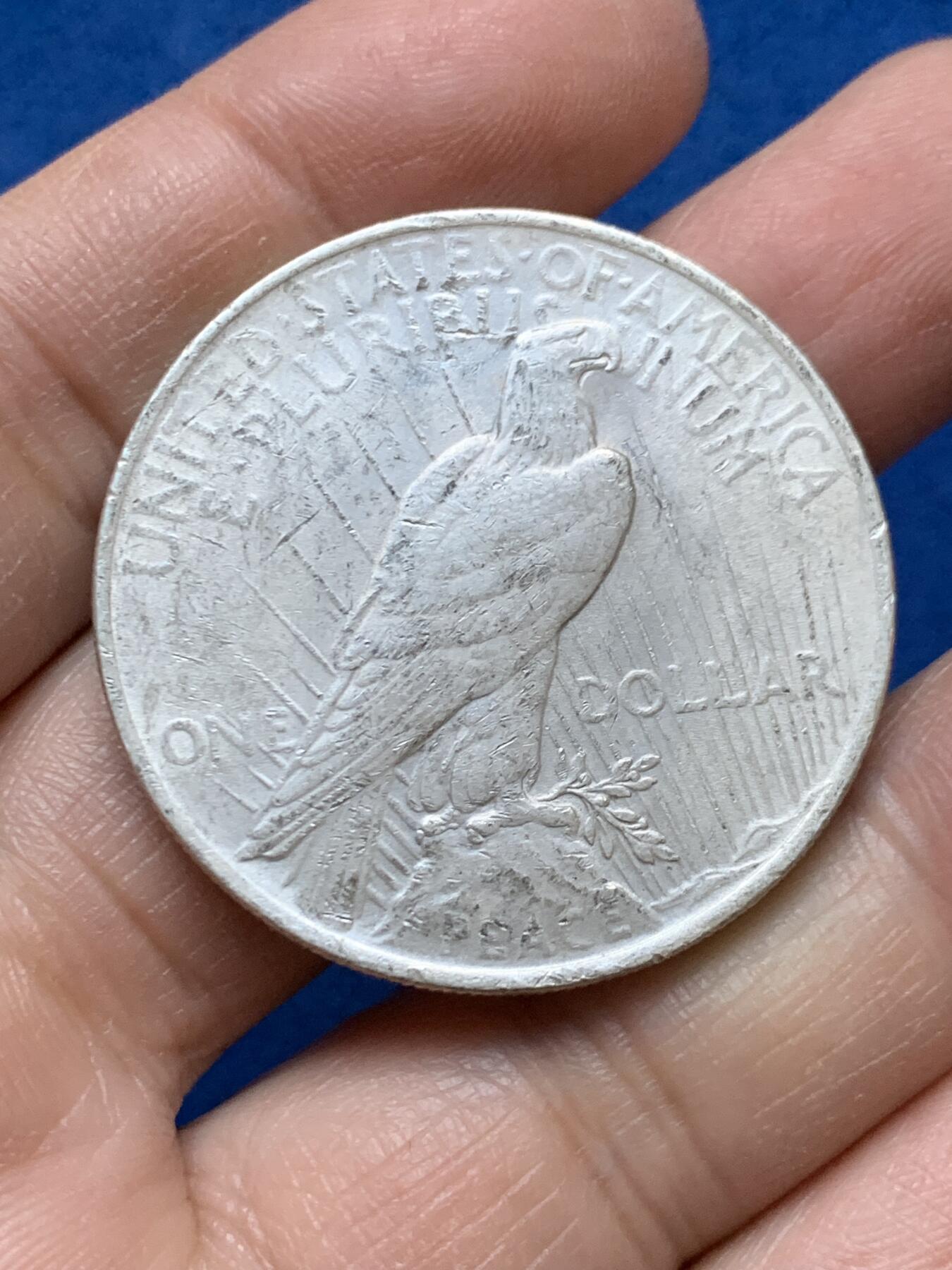 《竞宝斋》第445场 周日，周一，2场连拍 （全场包邮） 美国1923年和平鸽一美元银币