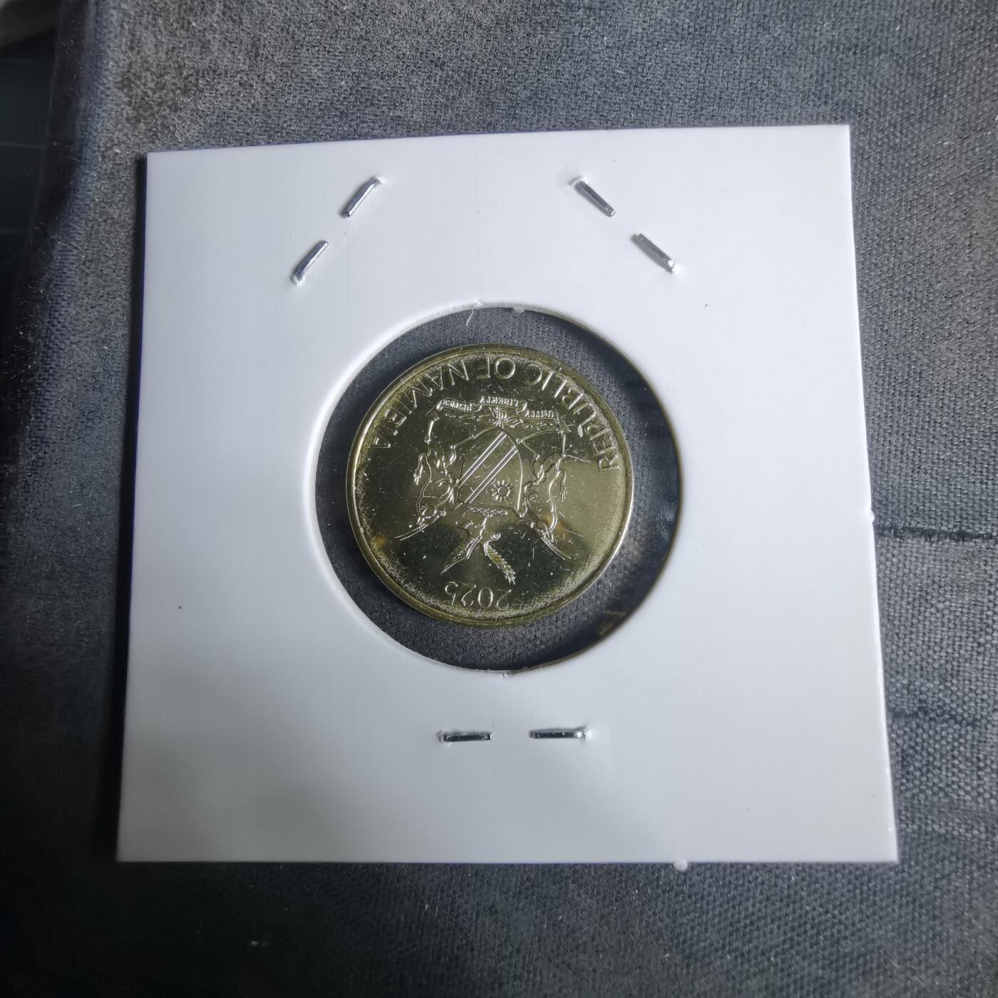 沼泽如烟--第924场