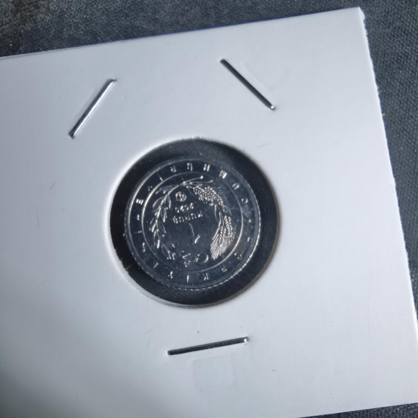 沼泽如烟--第924场