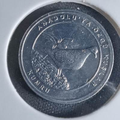 沼泽如烟--第924场 - 土耳其2020年1库鲁小鸟