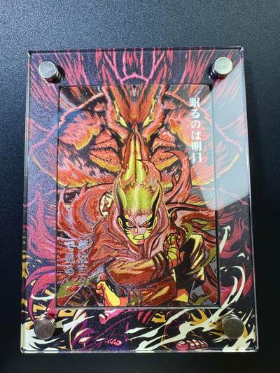 NO.17 好又多金牌大场，新店点关注不迷路！每周一站式配齐，方便凑单！（周6晚8点截拍，卖家送拍0抽成！） - 奇点 兑换卡+卡砖 非常精美