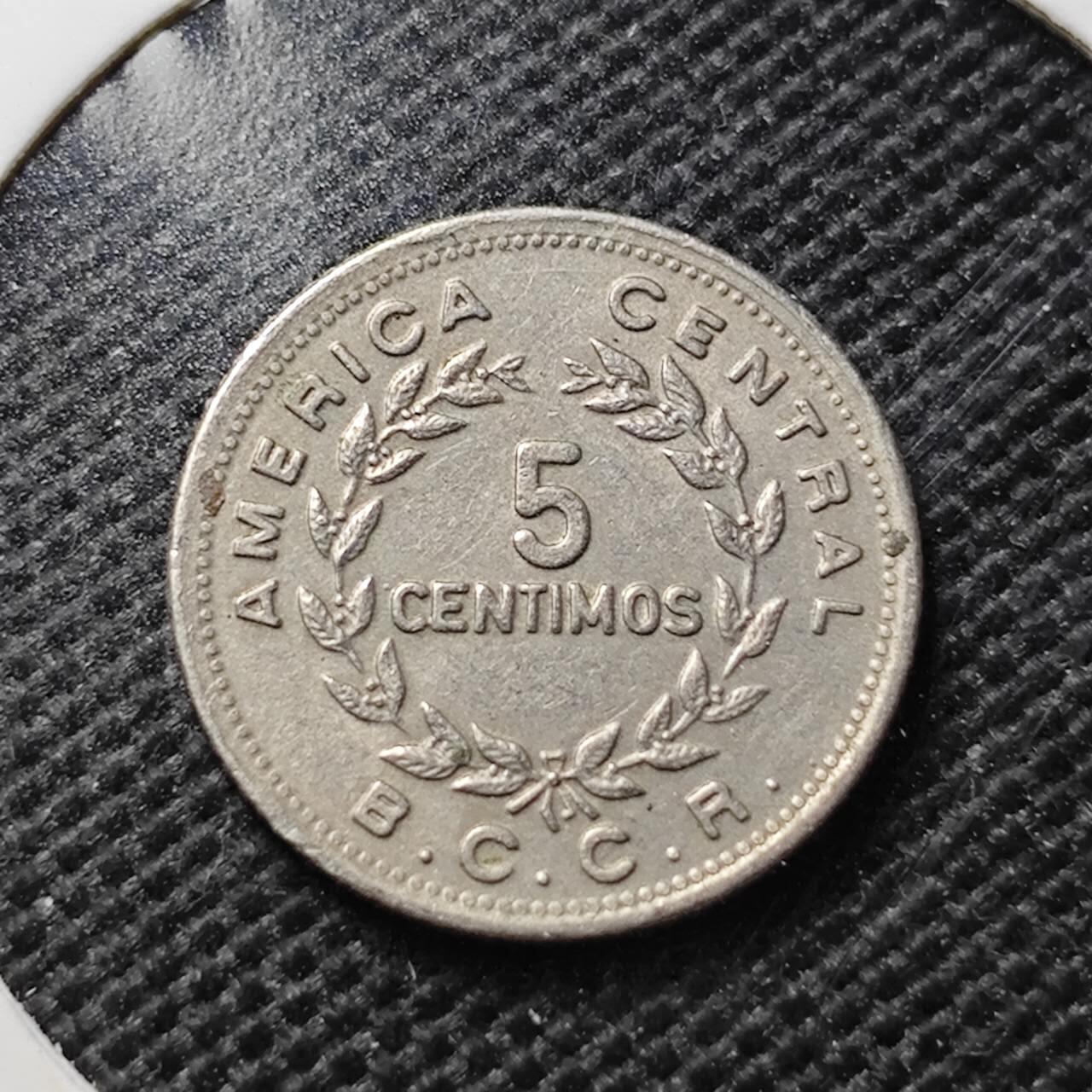 KK钱币收藏小铺 第375期  2月预留时间 周末发货