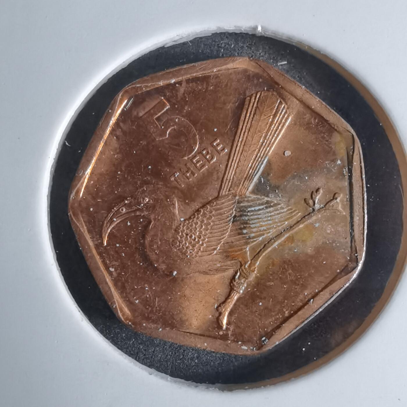 沼泽如烟--第924场