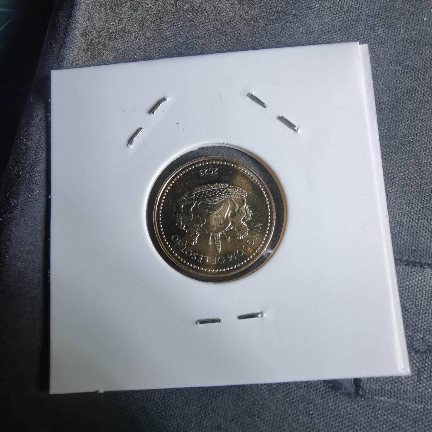 沼泽如烟--第924场