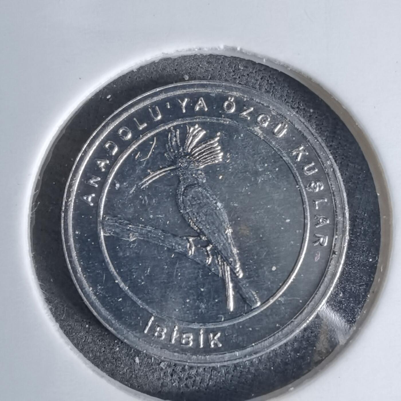 沼泽如烟--第924场