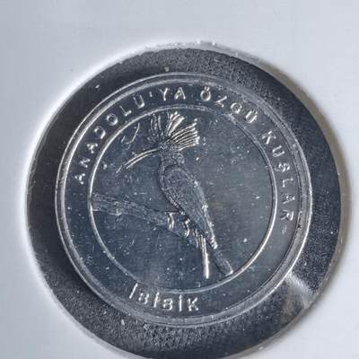 沼泽如烟--第924场 - 土耳其2020年1库鲁小鸟