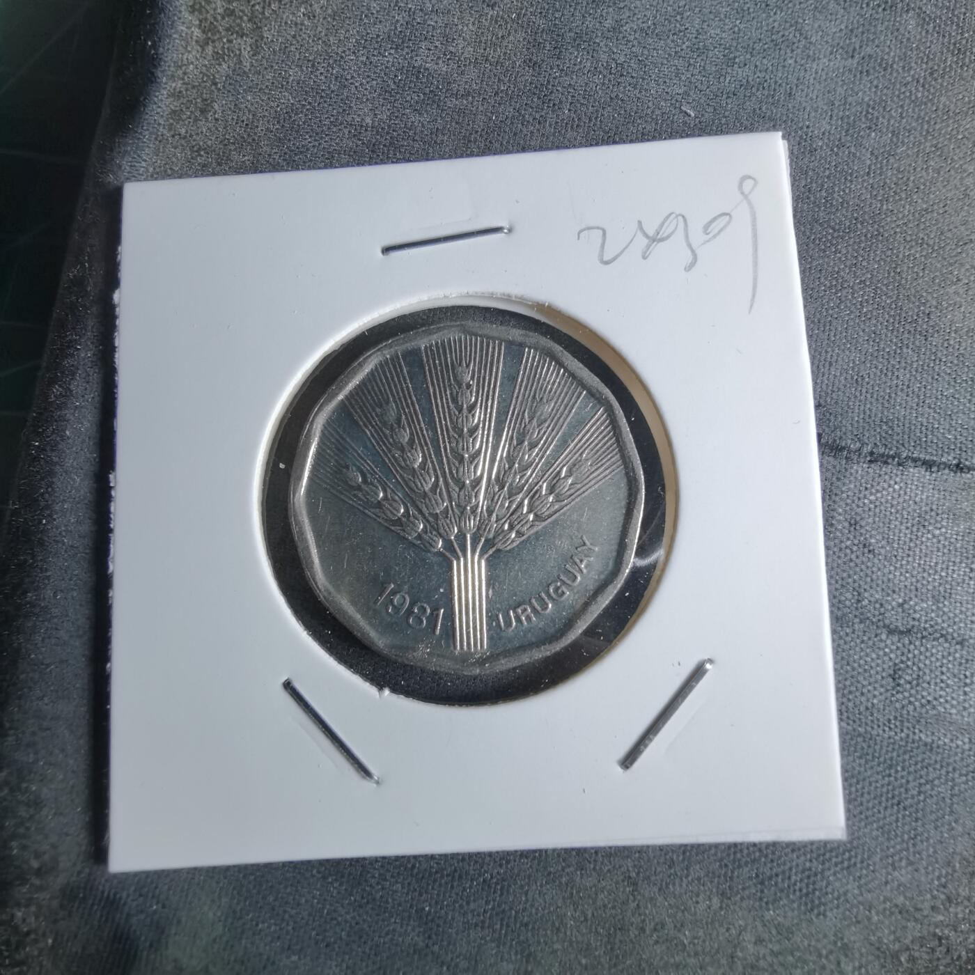 沼泽如烟--第924场 乌拉圭1981年2比索