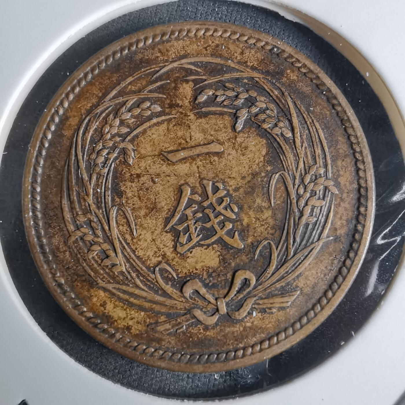 沼泽如烟--第924场