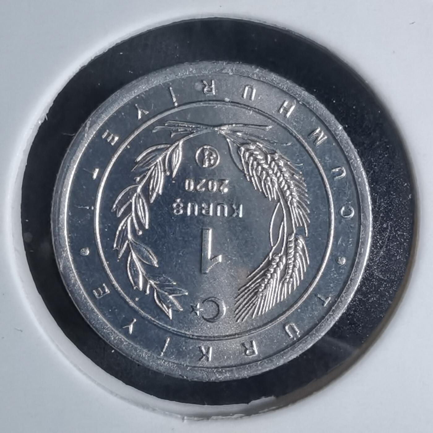 沼泽如烟--第924场