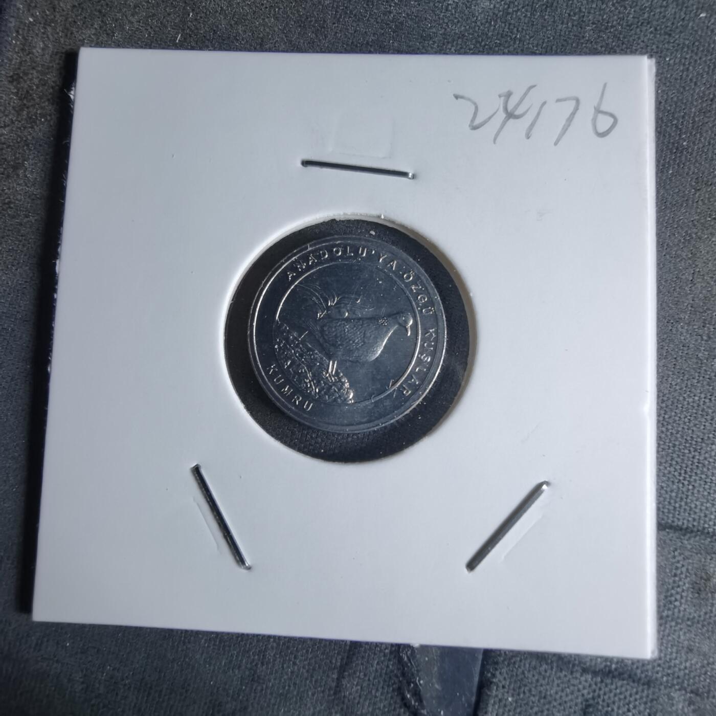 沼泽如烟--第924场 土耳其2020年1库鲁小鸟