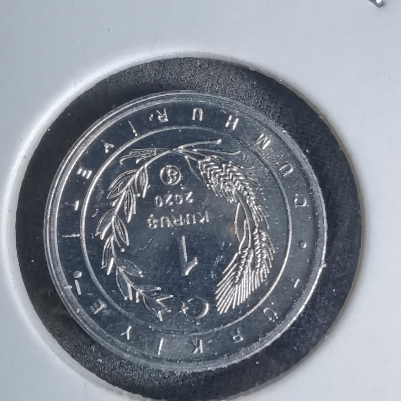 沼泽如烟--第924场