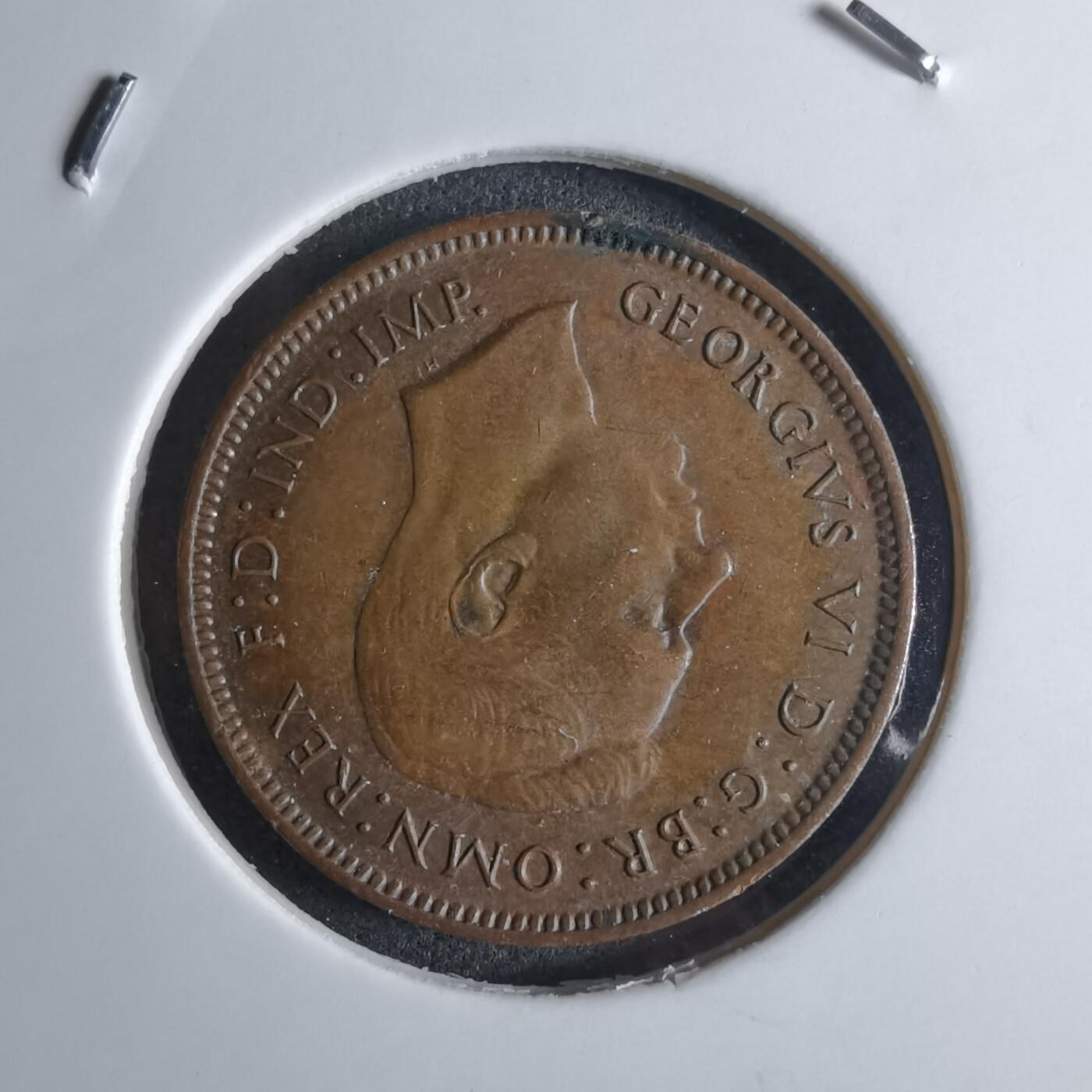 沼泽如烟--第924场