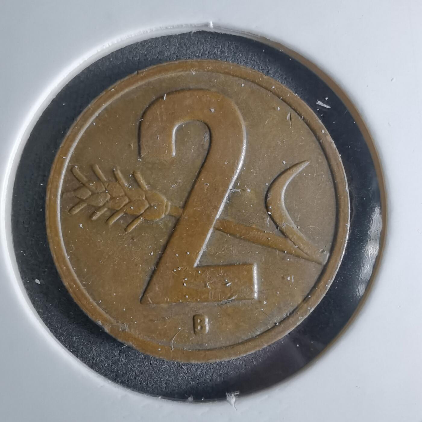 沼泽如烟--第924场