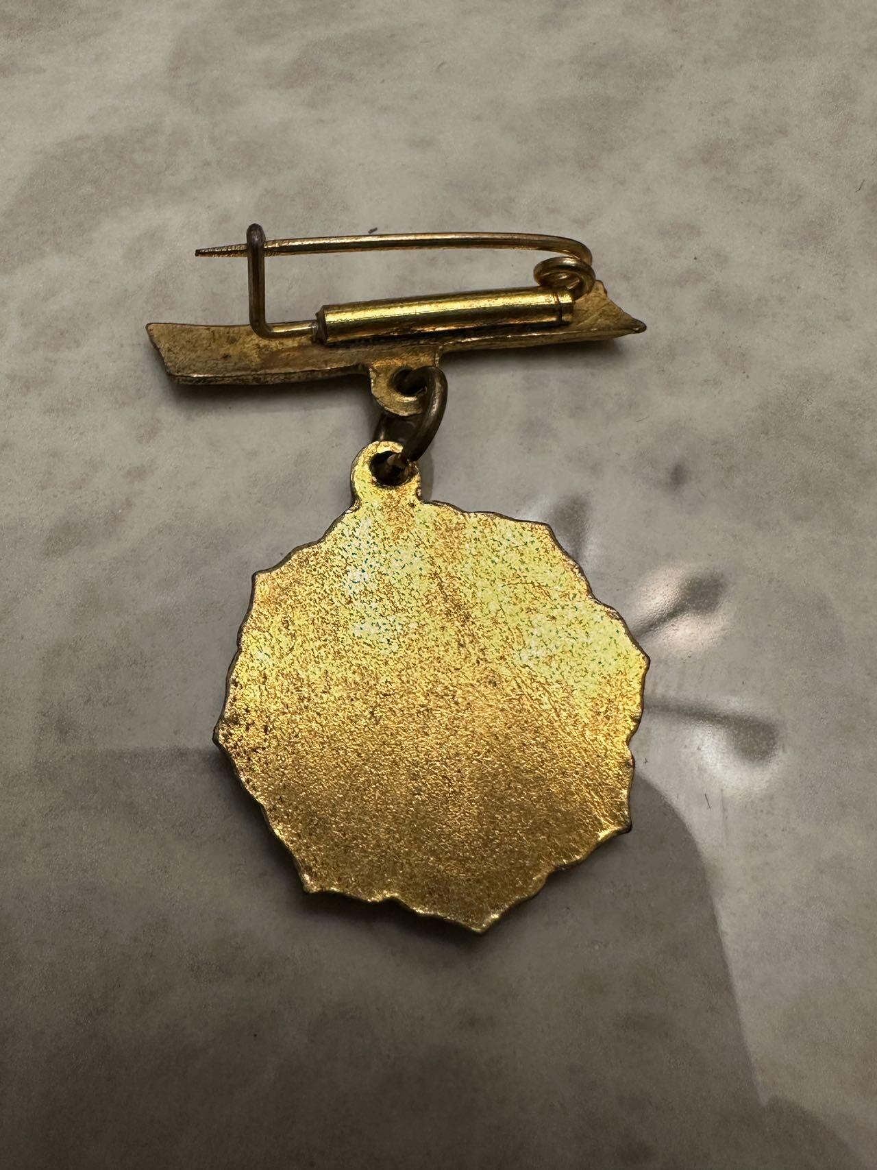 蒂克钱币-第52场 日本勋章徽章 专场 日本 爱国妇人会 徽章