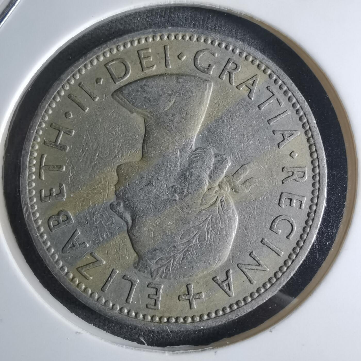 沼泽如烟--第924场