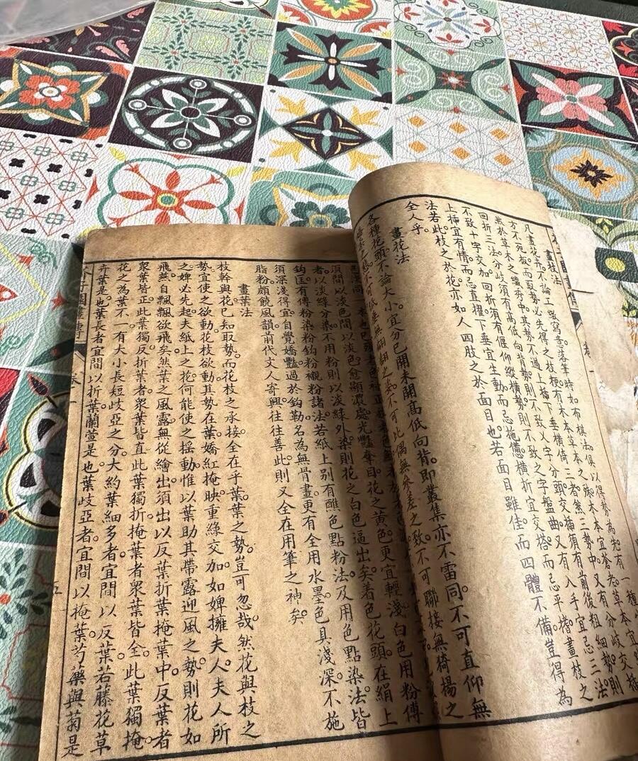 民国芥子园草虫花卉谱一册（无托实拍）