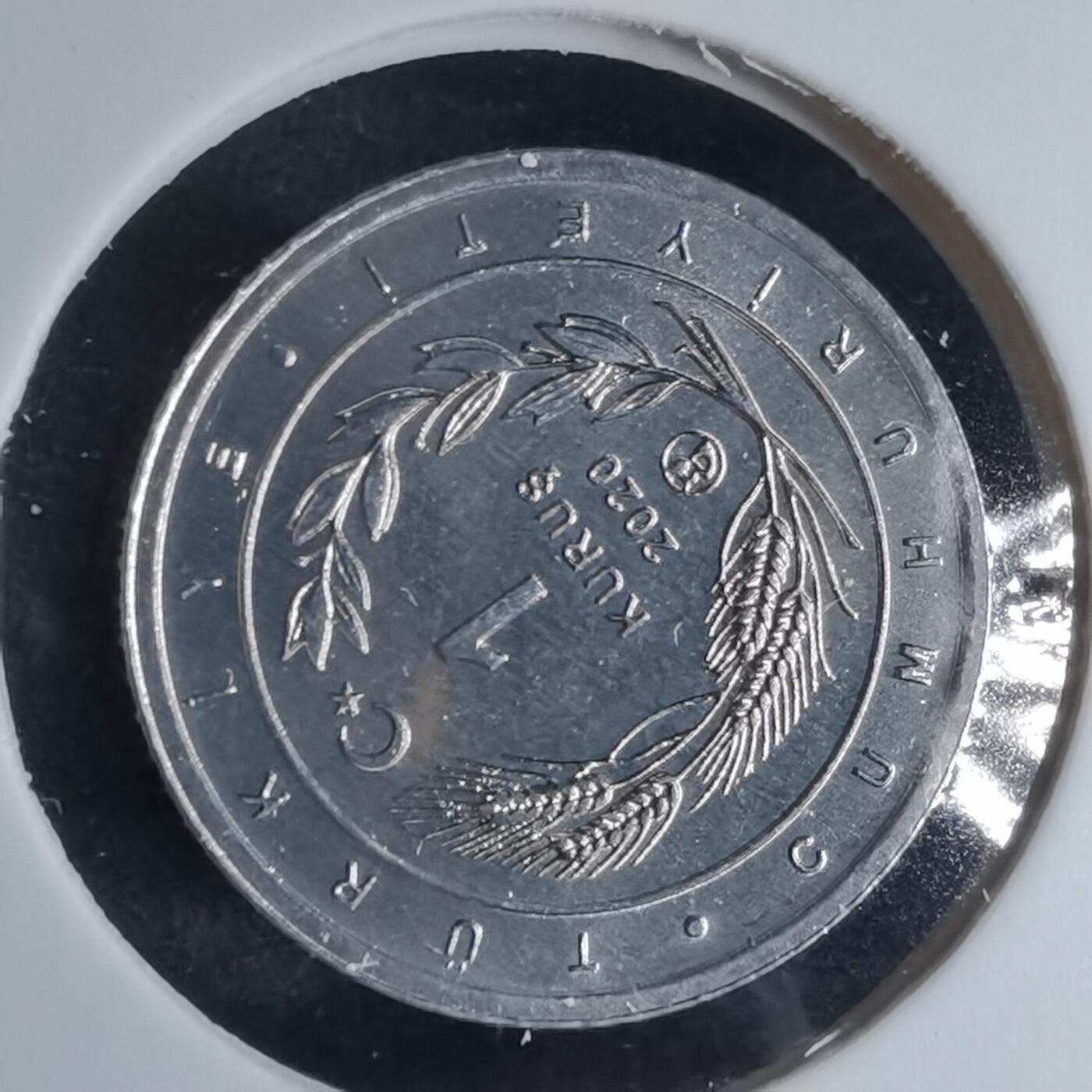 沼泽如烟--第924场