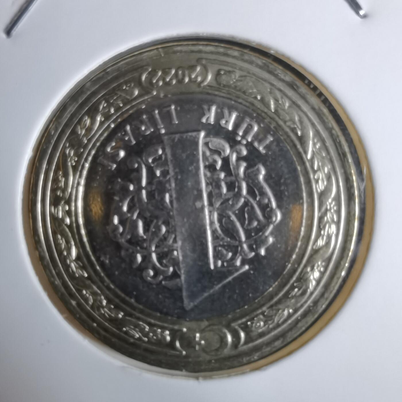 沼泽如烟--第924场