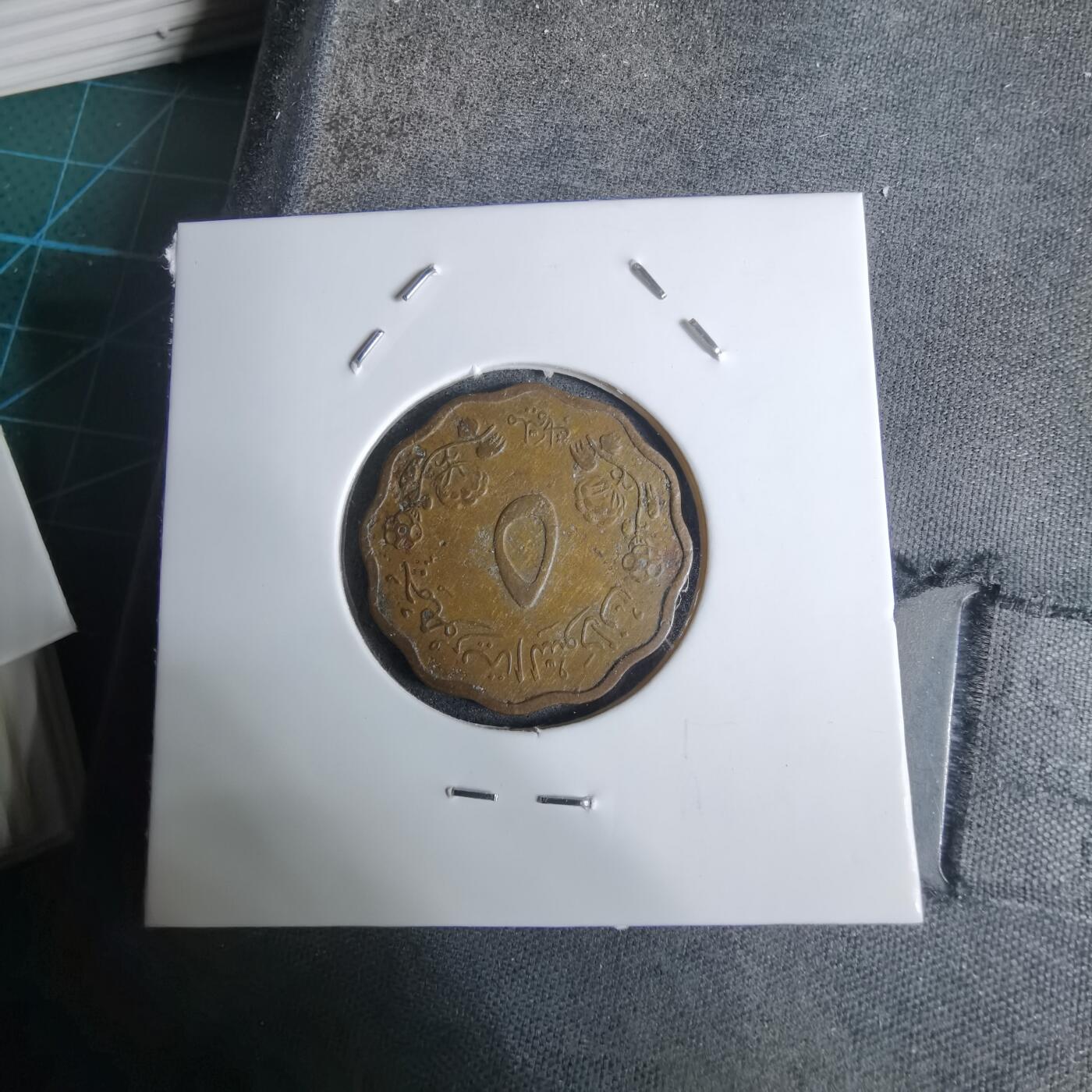 沼泽如烟--第924场