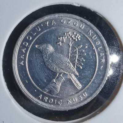 沼泽如烟--第924场 - 土耳其2020年1库鲁小鸟