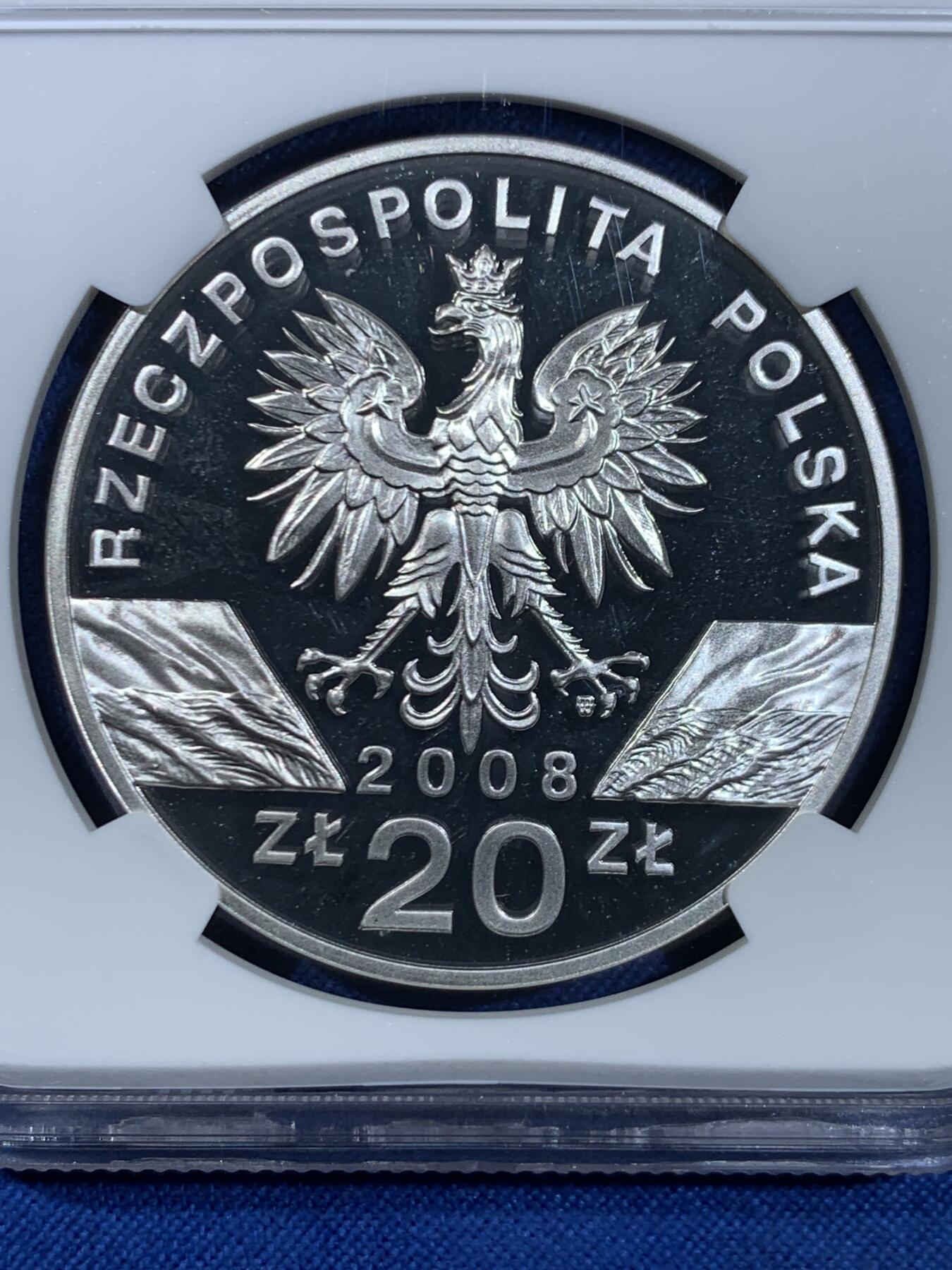 《竞宝斋》第445场 周日，周一，2场连拍 （全场包邮） NGC PF66UC 波兰2008年游隼20兹罗提精制银币 925银 28.28克