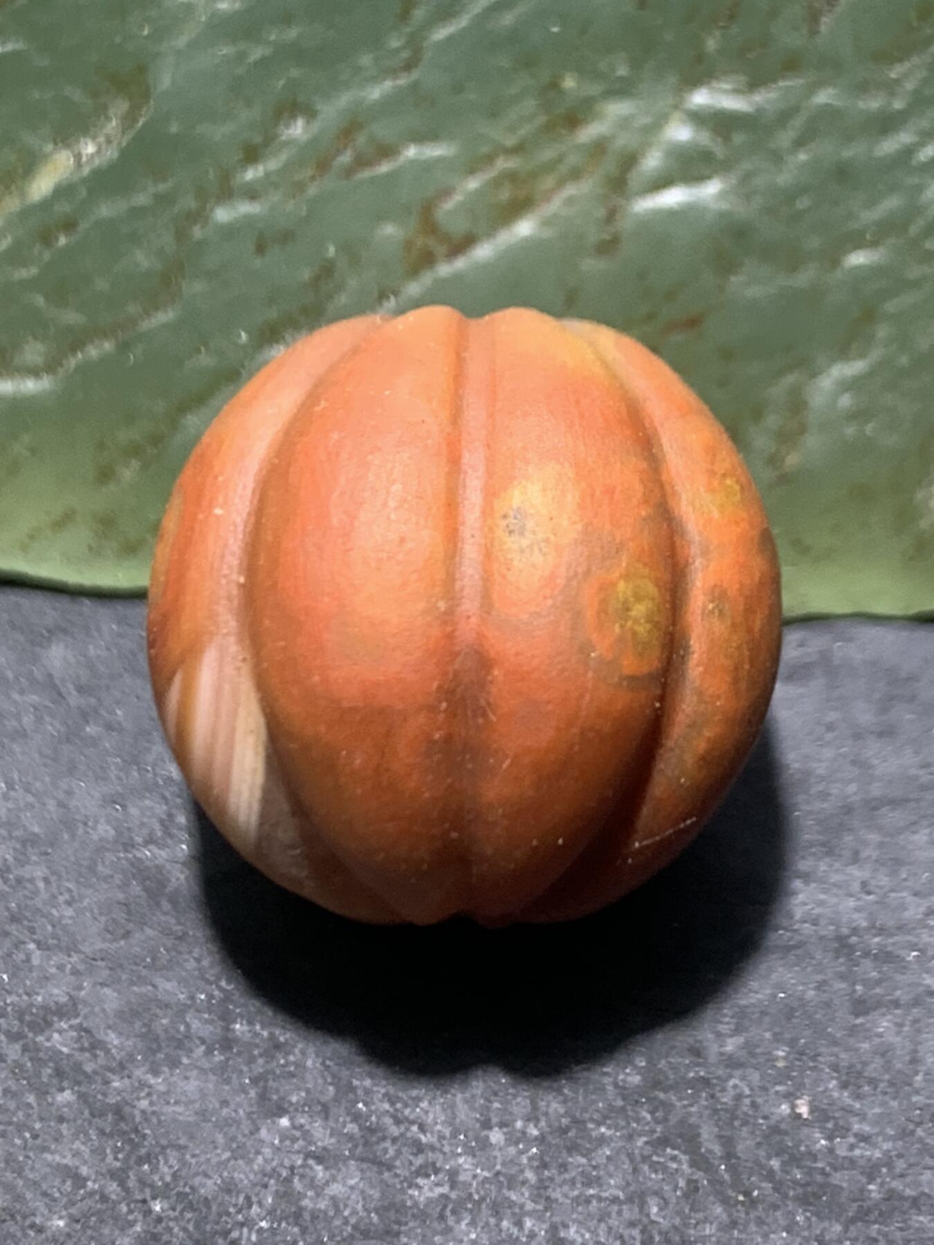 精美亚光冰飘战国红玛瑙手工雕刻瓜珠一颗！