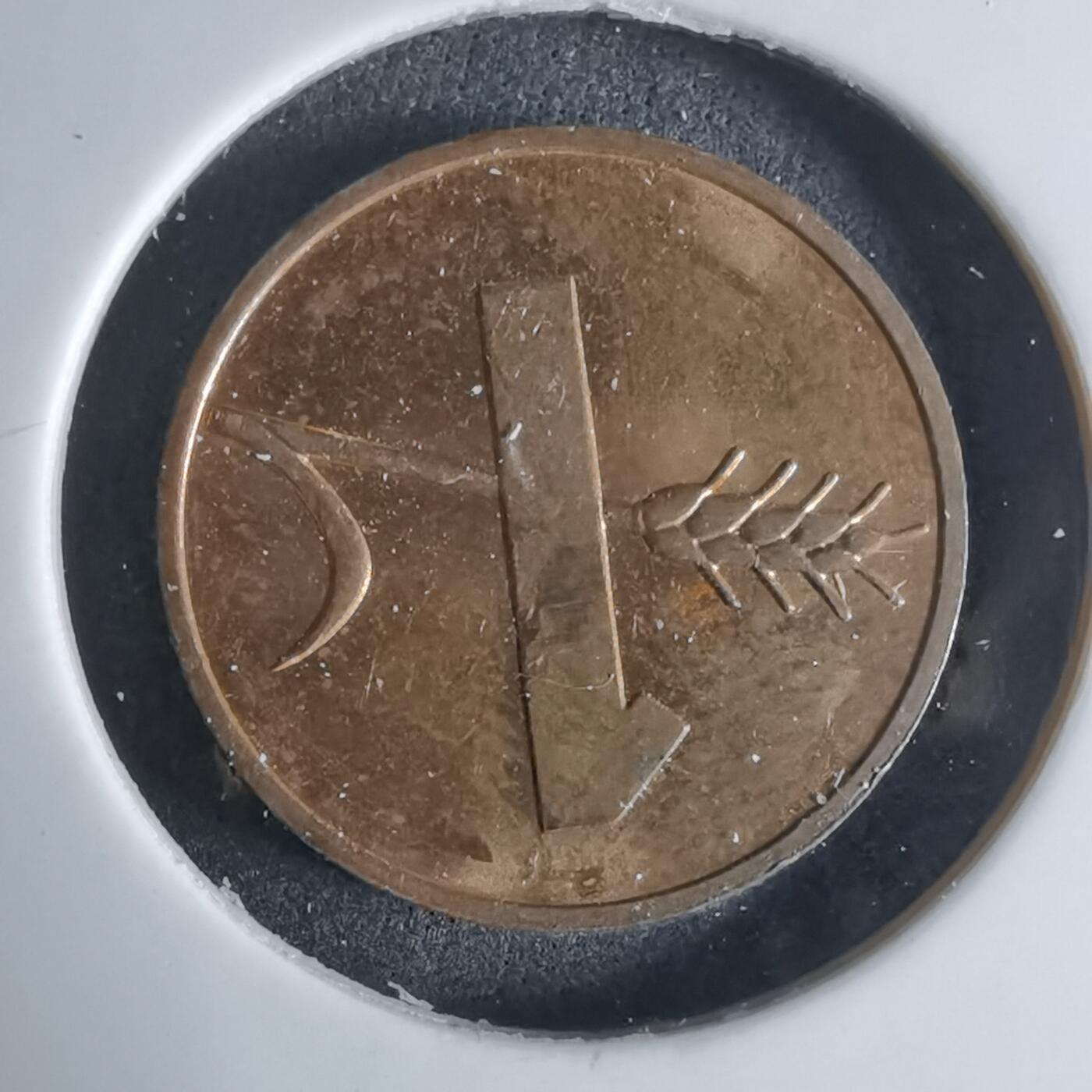 沼泽如烟--第924场