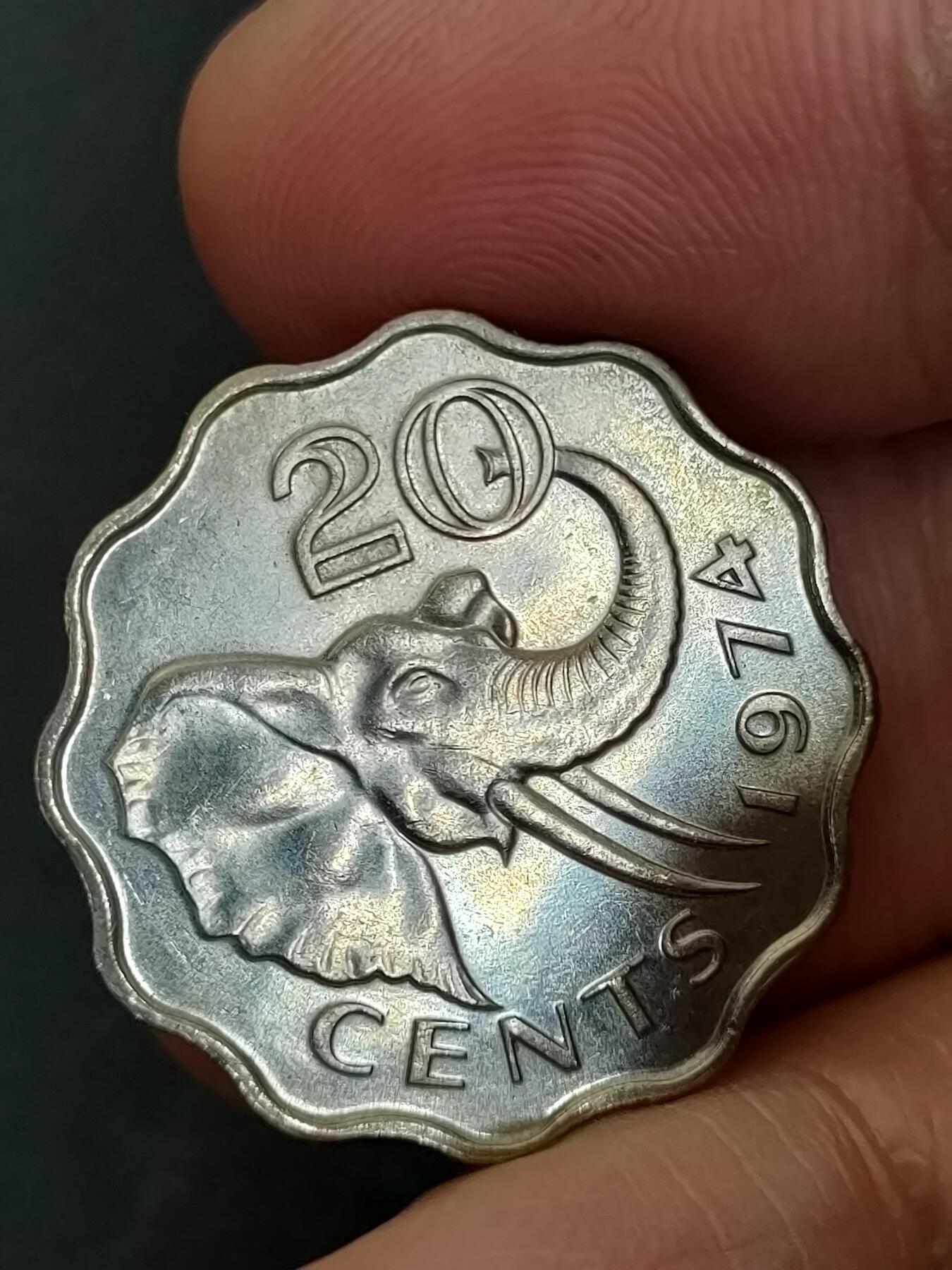 猩哥外币小铺➨【第206场】 20分