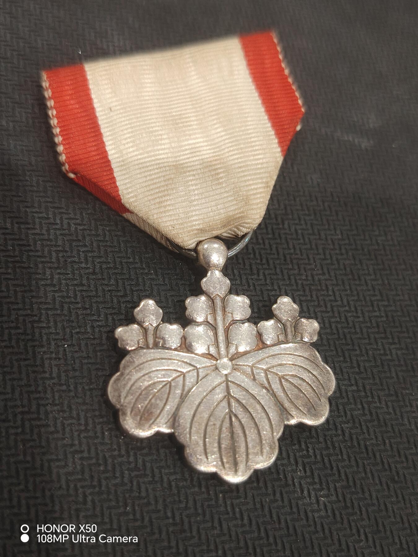 城南花开💐83场 银叶子单章