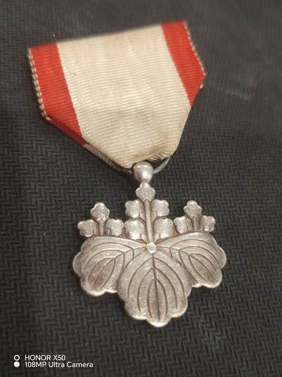 城南花开💐83场 - 银叶子单章