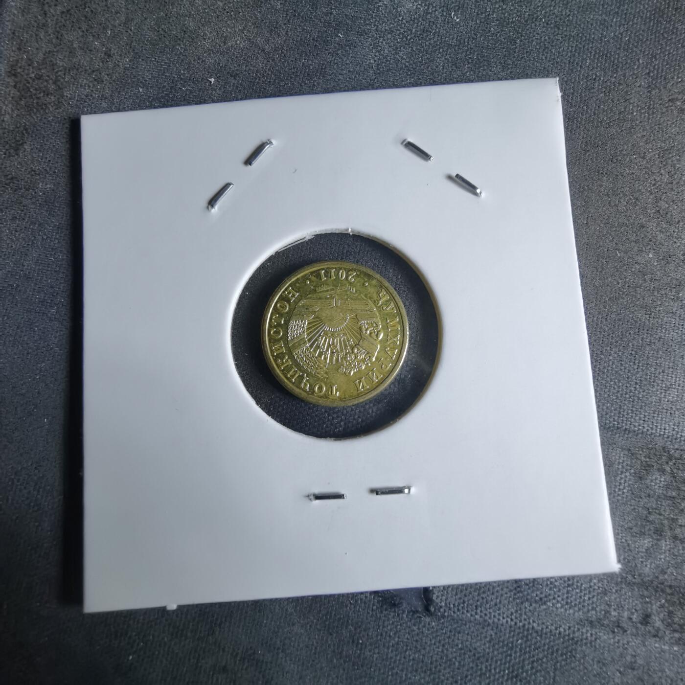 沼泽如烟--第924场