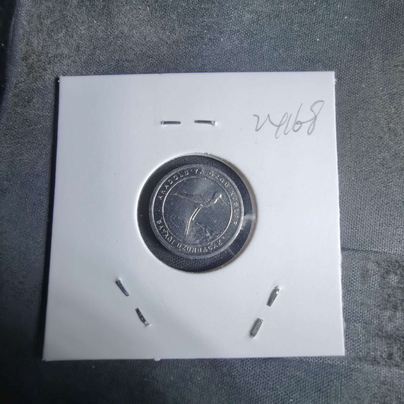 沼泽如烟--第924场