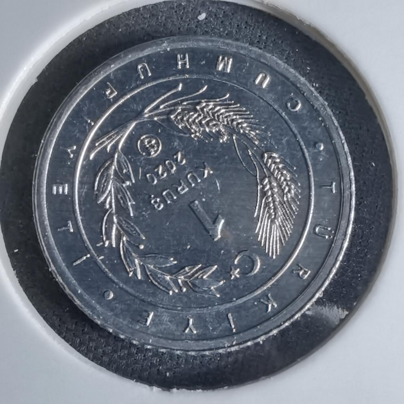 沼泽如烟--第924场 土耳其2020年1库鲁小鸟