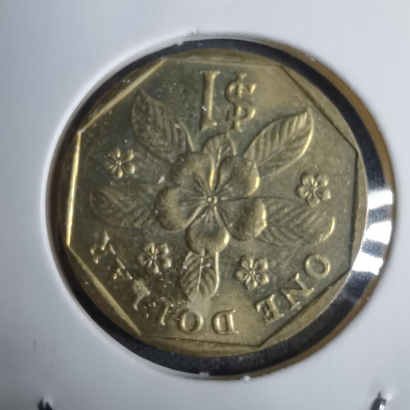 沼泽如烟--第924场